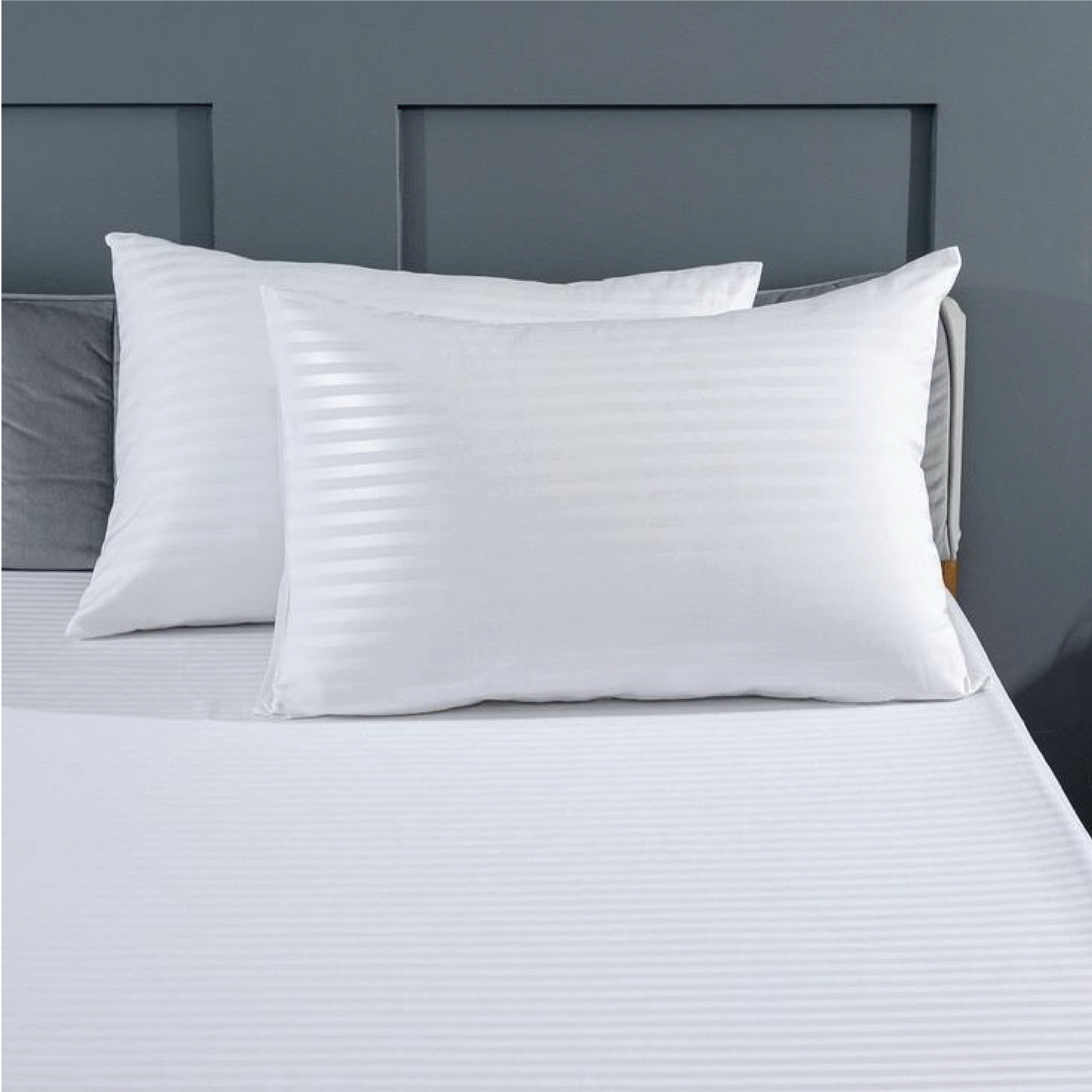 Bed Sheet Set with 2 Pillow Cases Egyptian Cotton (Premium Quality)