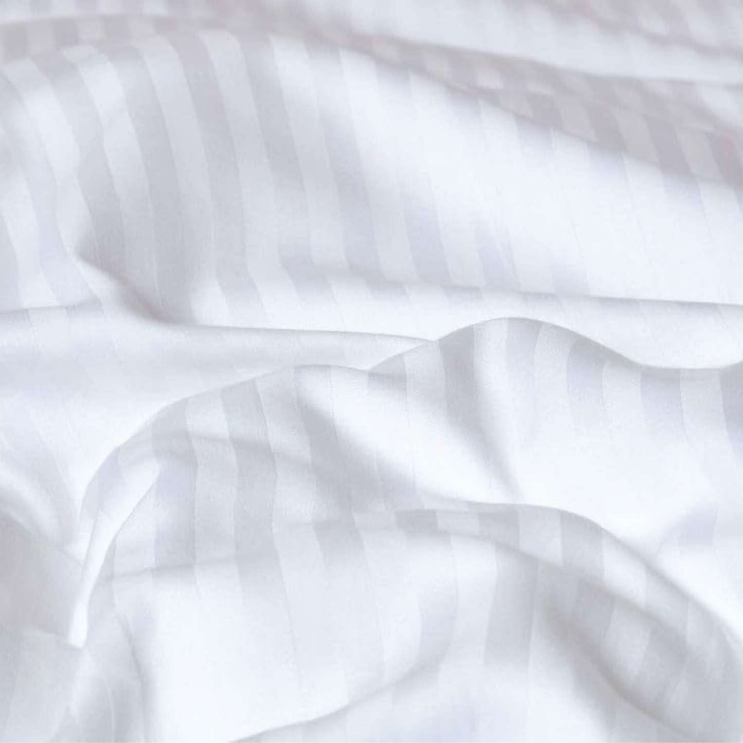 Bed Sheet Egyptian Cotton (Premium Quality)